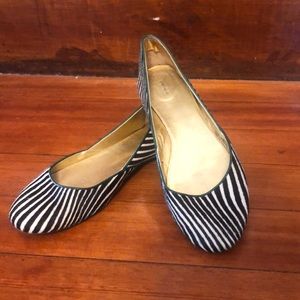 J Crew Zebra Für Flats
